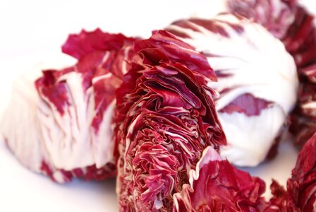 Chicory eat food