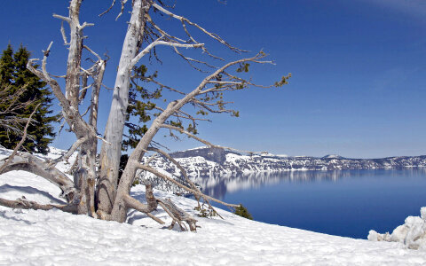 Winter Scenery at Crater Lake National Park, Oregon photo