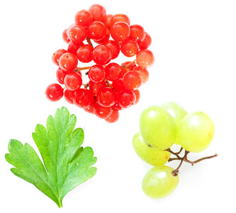 Mixed Fruits photo