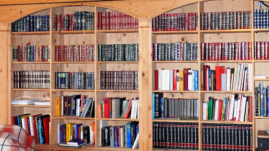 Book books bookshelf photo