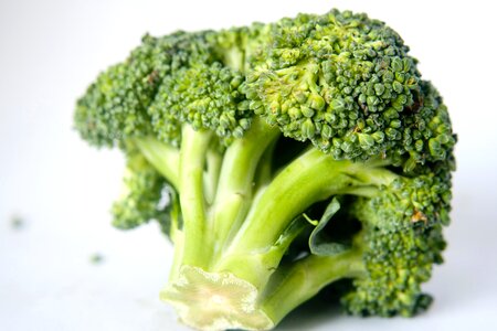 Broccoli dark green delicious