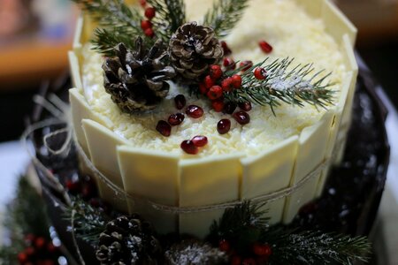 Holiday cake christmas photo