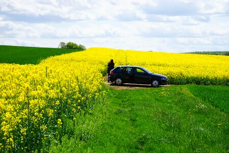 Fields reported photograph photo