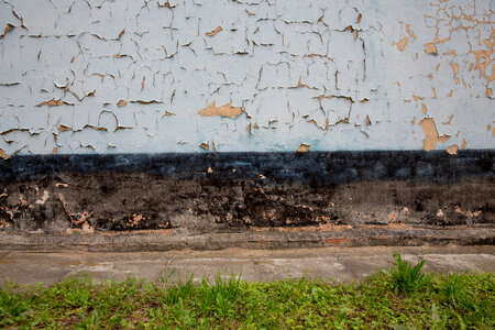 Grunge Wall and Lawn photo