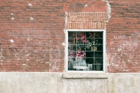Flowers inside the window photo