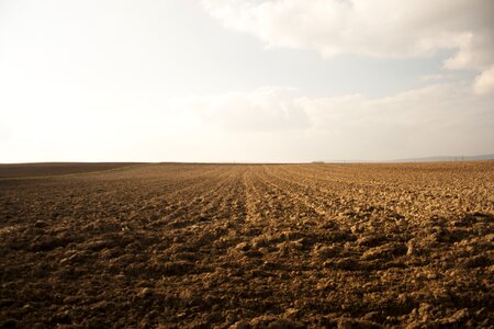Nature environment landscape