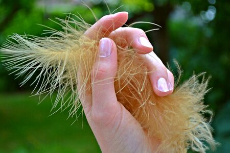 Girl nail polish fingers photo