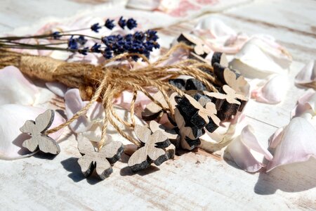 Art butterfly decoration