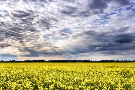 Beautiful Photo clouds crops