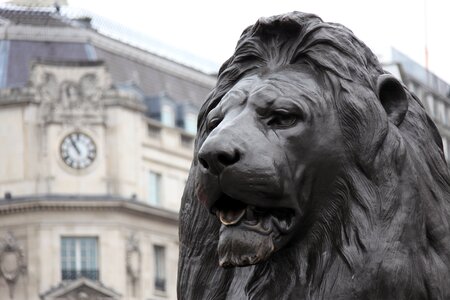 Bronze england head photo