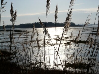 Cams bay morning tranquil