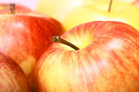 Apples photo