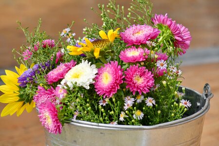 Arrangement bouquet bucket