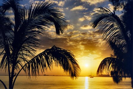 Miami sunset caribbean photo