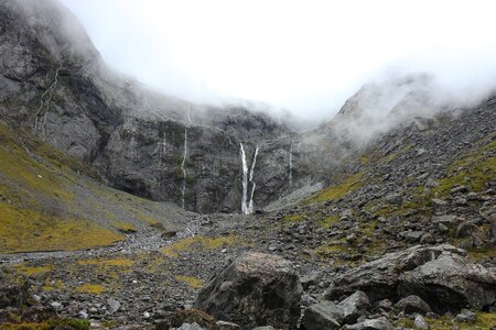 Ascent fog forest