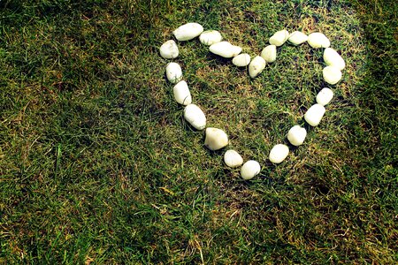 Grass outdoor love photo