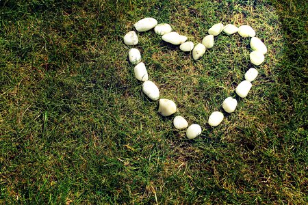 Grass outdoor love