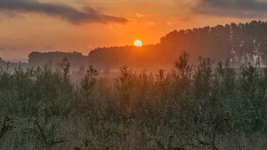 Atmosphere autumn backlight