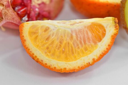 Cross Section detailed slices