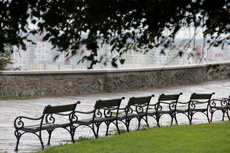 Benches in park