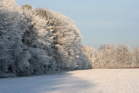 Steel blue sky winter landscape christmas picture photo