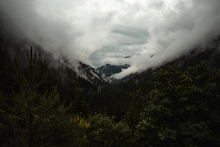Fog Mountain Forest photo