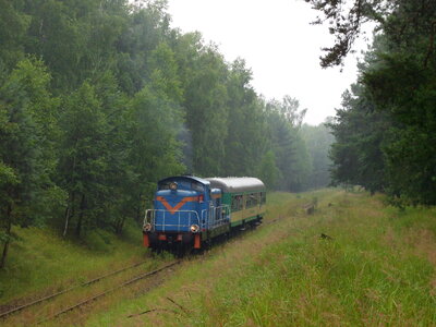 train hauled by the diesel locomotives passing the forest photo
