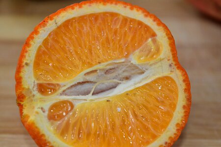 Citrus delicious fresh photo