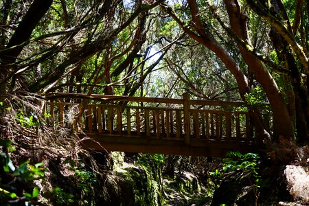 Trail away path