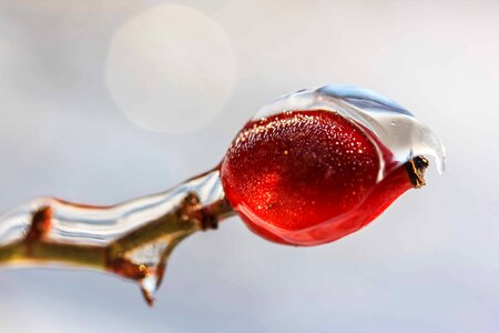 Beautiful Photo cold detail
