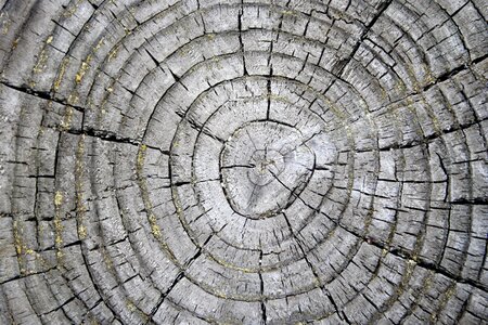 Pattern rings texture