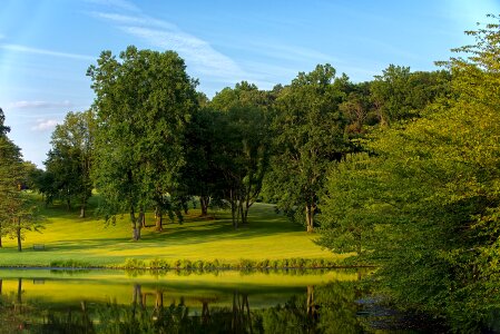 Scenic green outdoors
