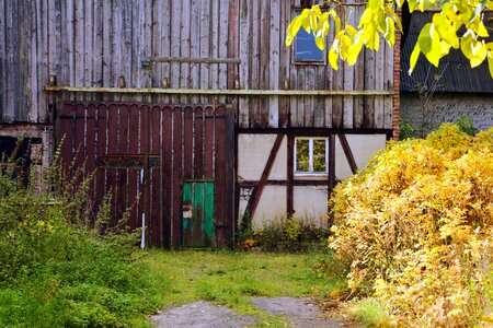 Architecture backyard building