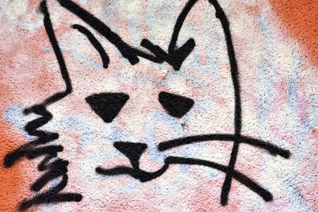 Art cat graffiti photo