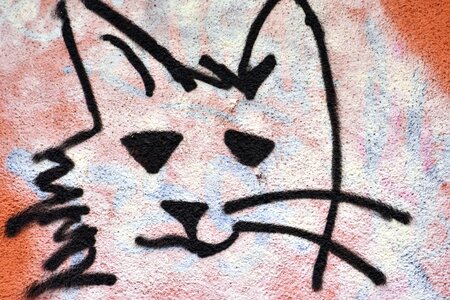 Art cat graffiti