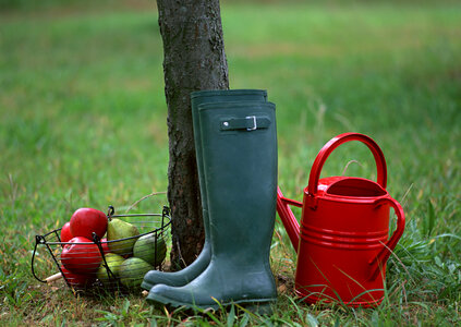 Gardening tools on grass photo