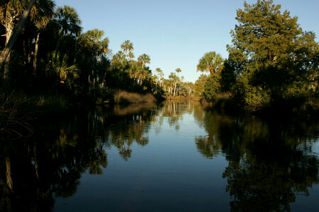 Aquatic environment-3