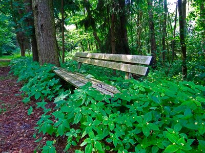 Rest break balsam