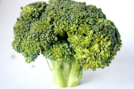 Broccoli diet dietary