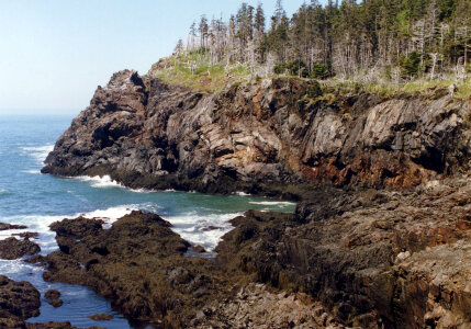 Petit Manan National Wildlife Refuge, Cross Island photo