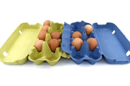 Diet egg egg box photo