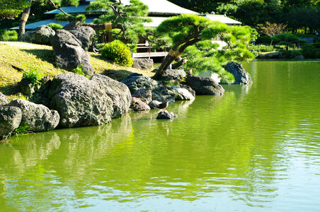 8 Kiyosumi Garden