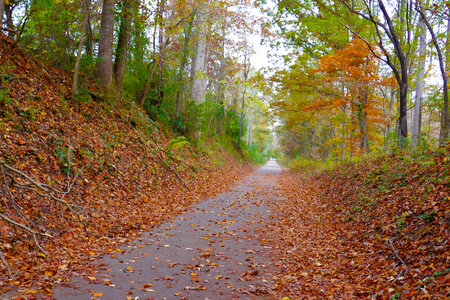Autumn on the Trail