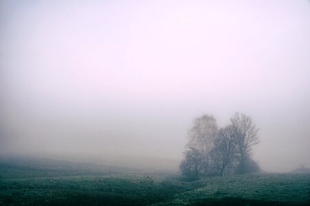 Trees agricultural rural photo