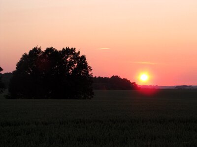 Rest evening red