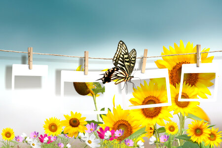Retro photo collage of yellow flowers and butterfly