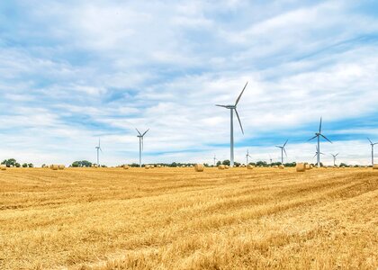 Agriculture alternative blue sky photo