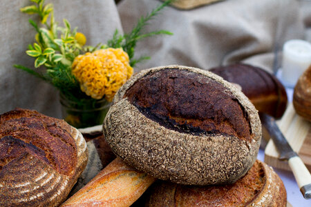 Various Kinds of Fresh Baked Bread photo