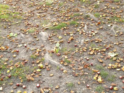 Concerns ground collect