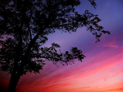 Night sunset silhouette